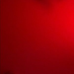 Meet your Posher, Shayna